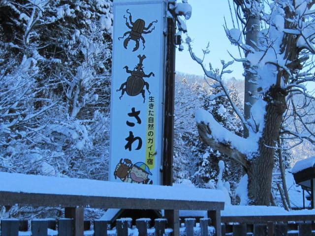 Inaka No Yado Sawa Hotel Nozawaonsen Ngoại thất bức ảnh