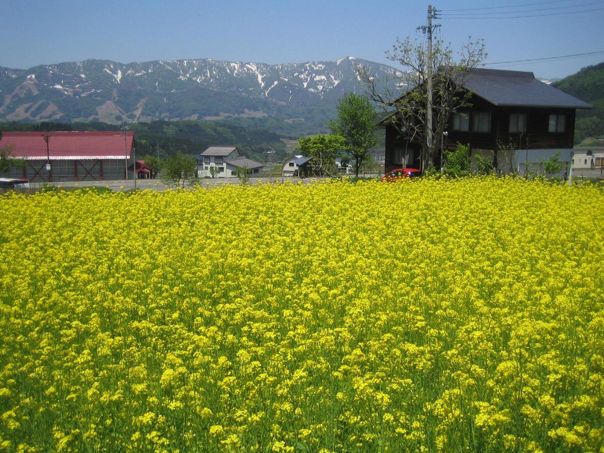 Inaka No Yado Sawa Hotel Nozawaonsen Ngoại thất bức ảnh